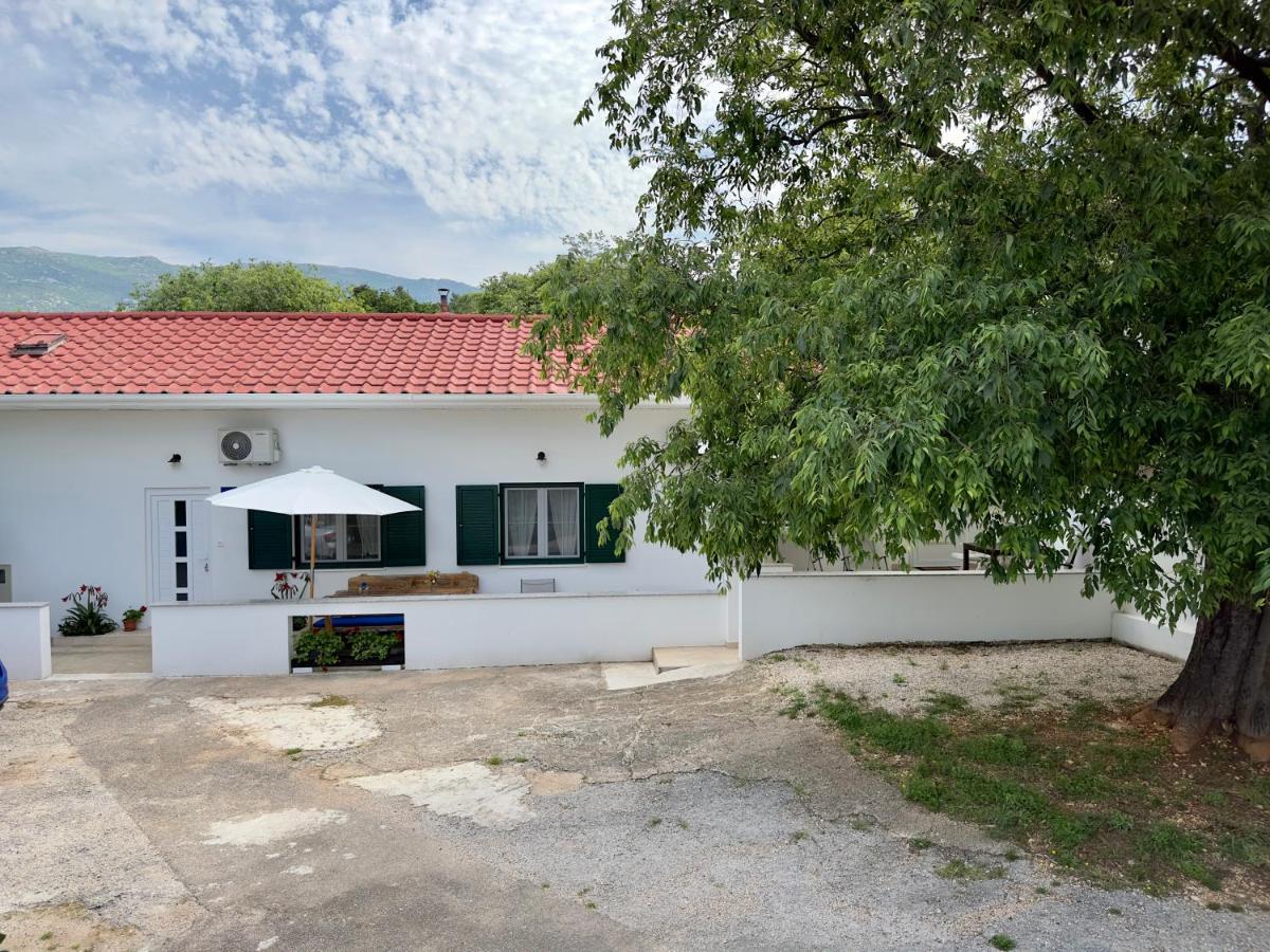 Matek Family & Studio Apartment Rovanjska Exterior photo